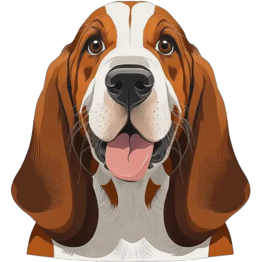 Le Basset Hound est une race de chien de chasse de taille moyenne, reconnaissable à ses longues oreilles et sa peau pendante. Il est utilisé pour la chasse aux petits gibiers et a un tempérament doux. Basset Hound icone