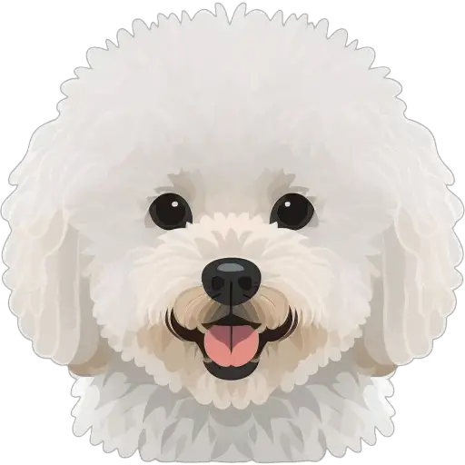Le Bichon à poil frisé est un petit chien blanc et moelleux, connu pour son caractère enjoué et affectueux. Il est un excellent animal de compagnie. Bichon à poil frisé icone