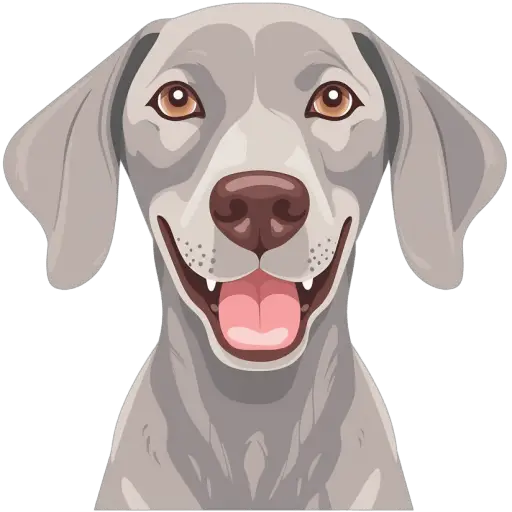Le Braque de Weimar est une race allemande de chien de chasse, caractérisée par sa couleur grise distinctive. Il est intelligent, énergique et aime la chasse. Braque de Weimar icone