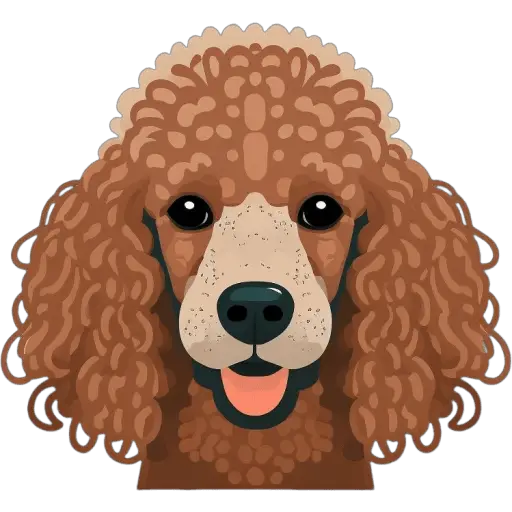 Le Caniche miniature est une version miniature du Caniche standard, originaire de France. Il est intelligent, affectueux et est souvent vu dans des concours de beauté. Caniche miniature icone