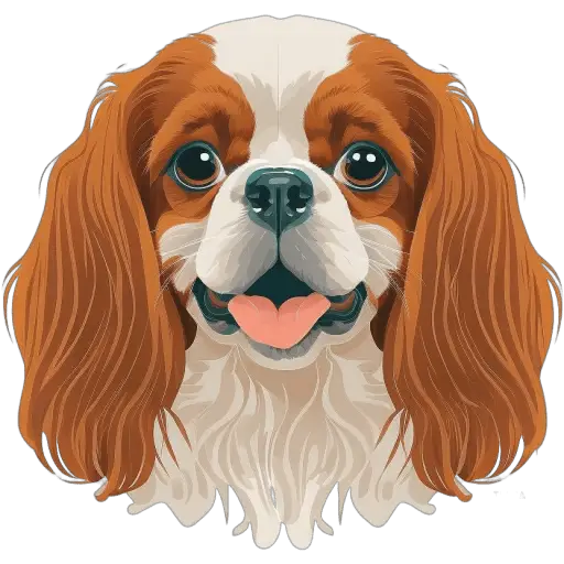 Le Cavalier King Charles est un petit chien de compagnie d'origine britannique, connu pour son apparence royale et son caractère aimable. Cavalier King Charles icone