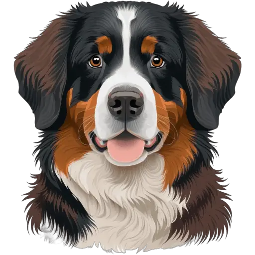 Le Chien de montagne bernois est une race imposante originaire de Suisse. Il est amical et protecteur, souvent utilisé comme chien de famille et de travail dans les régions montagneuses. Chien de montagne bernois icone