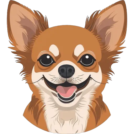 Le Chihuahua est la plus petite race de chien au monde. Il est alerte, courageux et souvent considéré comme un chien de poche idéal. Chihuahua icone