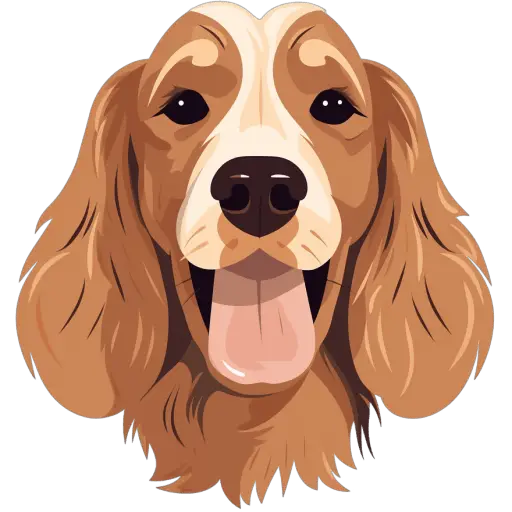 Le Cocker américain est un chien de chasse et de compagnie populaire, connu pour son beau pelage soyeux et son tempérament doux. Cocker américain icone