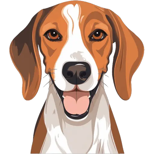 Le Foxhound anglais est une race de chien de chasse, élevée pour la chasse au renard. Il est sociable et adapté à la vie en meute. Foxhound anglais icone