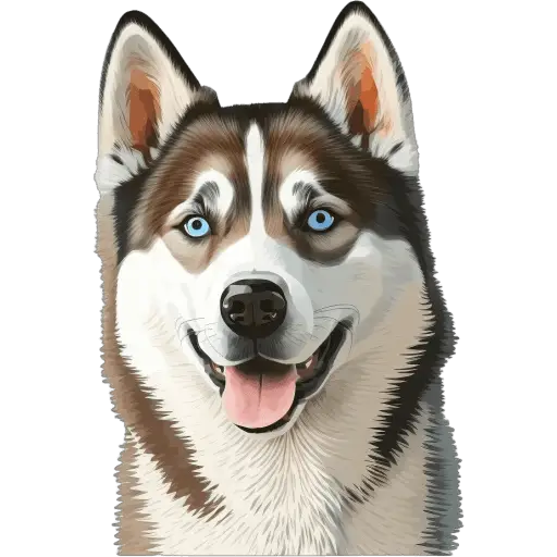 Le Husky de Sibérie est une race de chien de traîneau originaire de Sibérie. Il est énergique, amical et est adapté aux climats froids. Husky de Sibérie icone