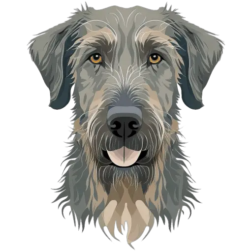 Le Lévrier irlandais est une race géante d'Irlande, connue pour sa taille impressionnante. Il est doux, aimant et est l'une des races les plus grandes au monde. Lévrier irlandais icone