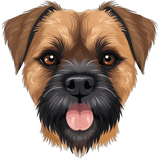 Le Terrier de la frontière est un petit chien énergique, souvent utilisé pour la chasse au renard et à d'autres nuisibles. Il est courageux et aime creuser. Terrier de la frontière icone