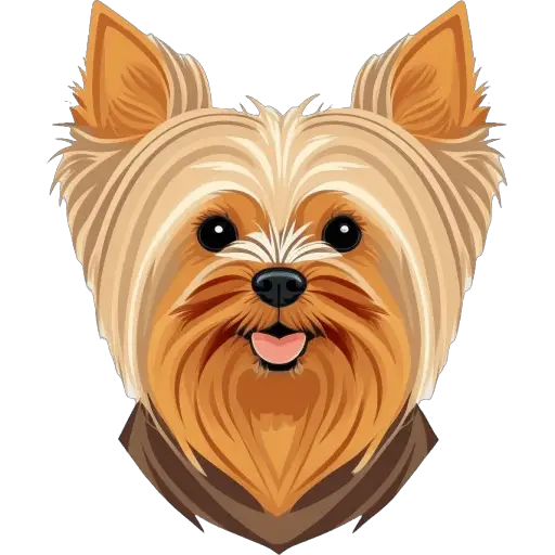Le Terrier du Yorkshire est un petit chien de compagnie, originaire d'Angleterre. Il a un pelage long et soyeux, et est plein de personnalité. Terrier du Yorkshire icone