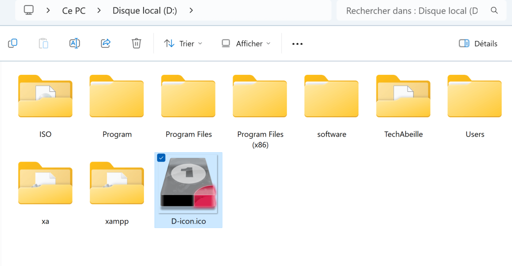 J'ai placé un fichier d'icône nommé D-icon.ico dans le répertoire racine de mon disque D