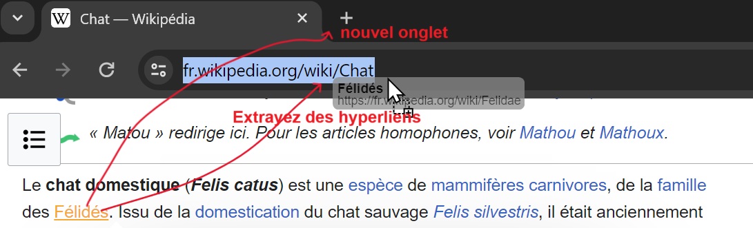 Extrayez des hyperliens