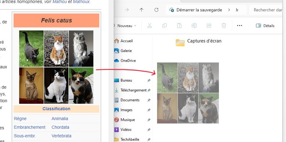 Téléchargez ou envoyez des images