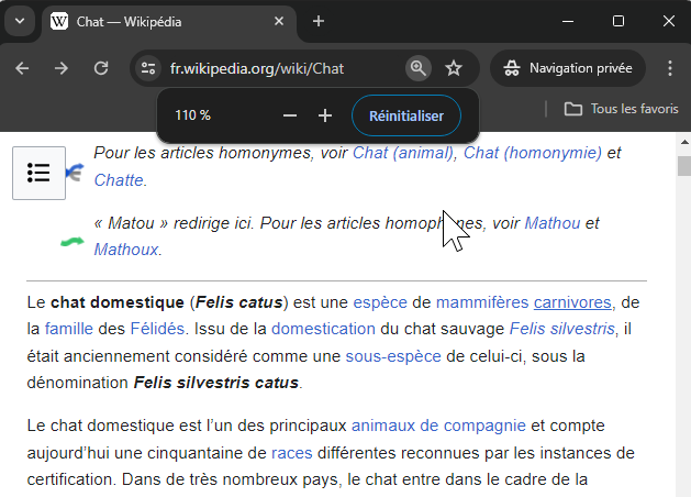 Zoom sur la page 
