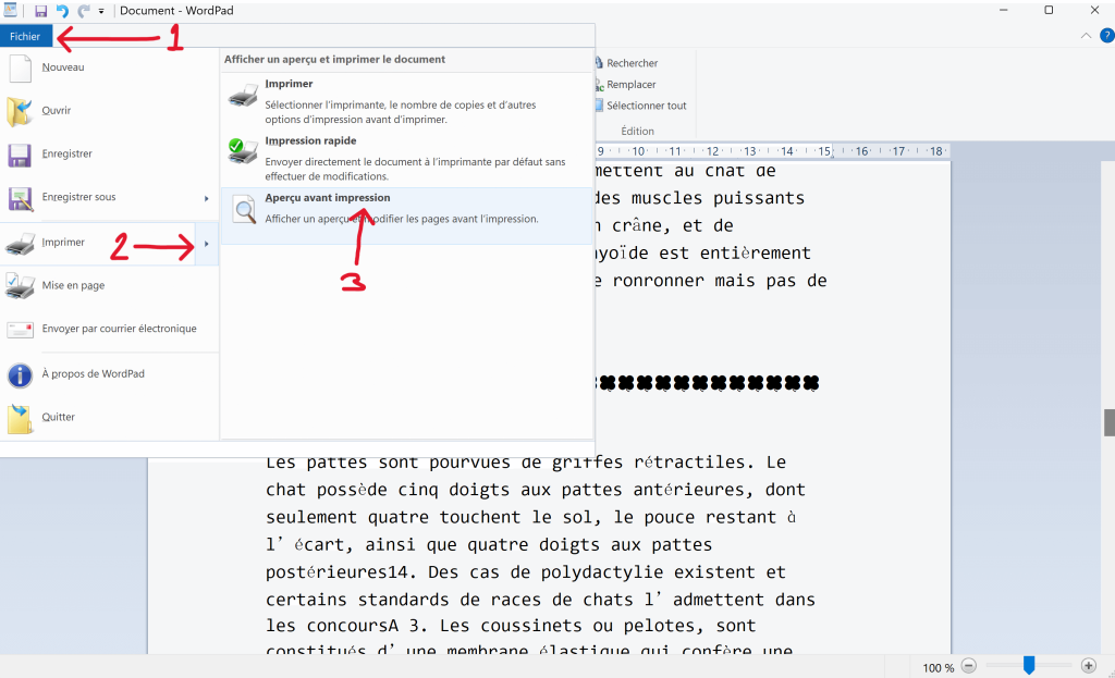WordPad Aperçu avant impression