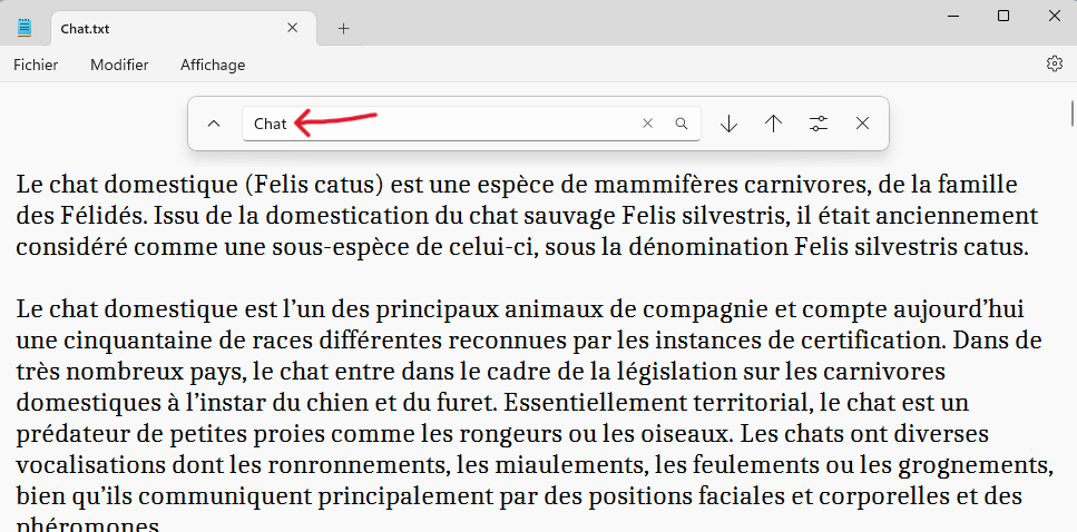 le Bloc-notes en Windows 11 Entrer le contenu de la recherche