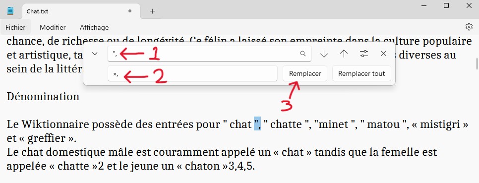 le Bloc-notes en Windows 11 Entrer le mot à rechercher et le mot de remplacement