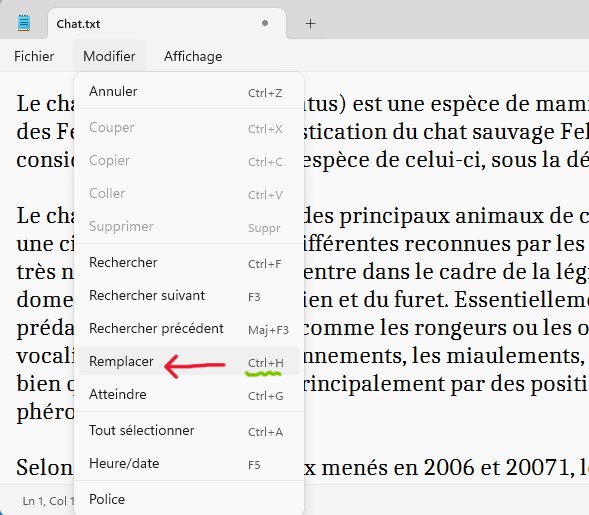 le Bloc-notes en Windows 11 Ouvrir la boîte de dialogue de remplacement