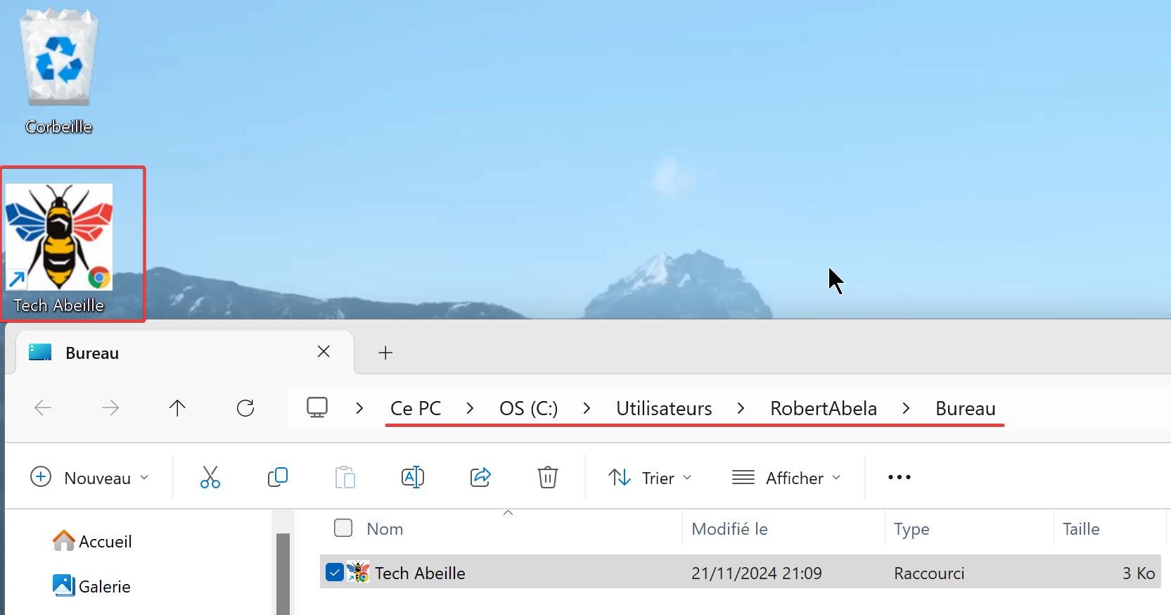 Chrome web page le site apparaîtra alors sur votre bureau