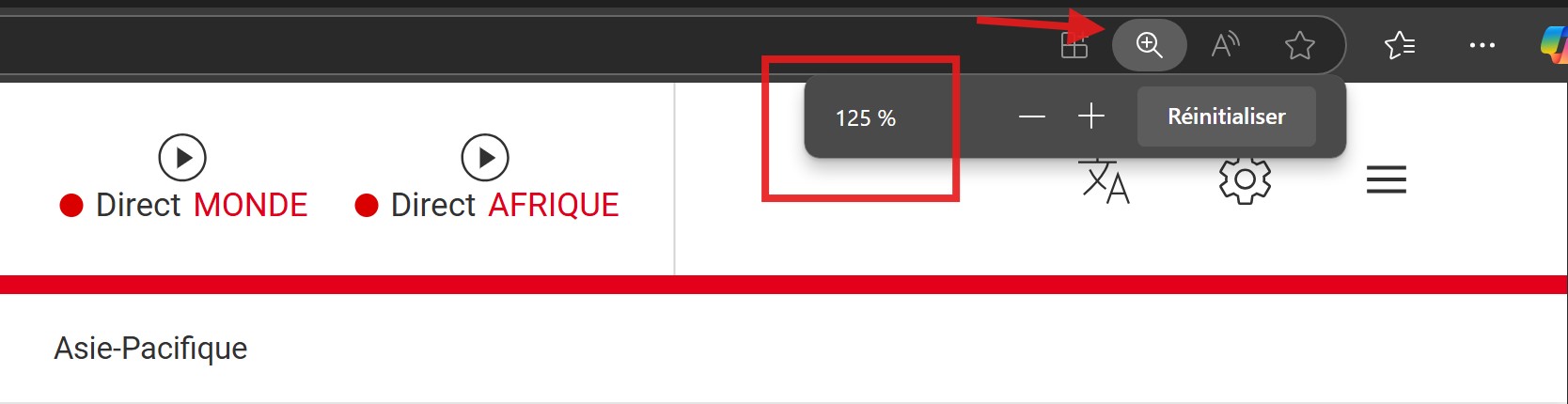 le navigateur affiche le niveau de zoom actuel