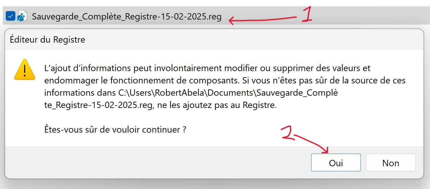 Double-cliquer sur le fichier de sauvegarde