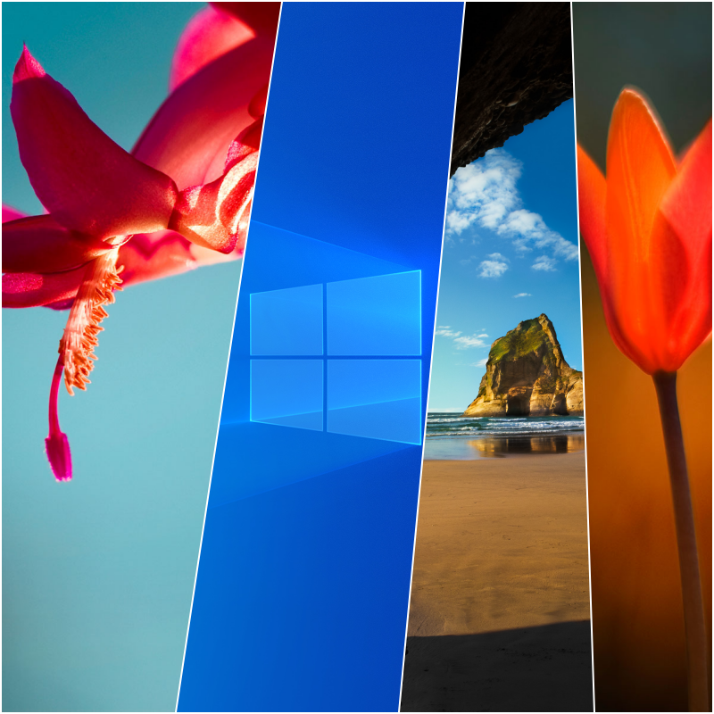Windows 10 les fonds d’écran