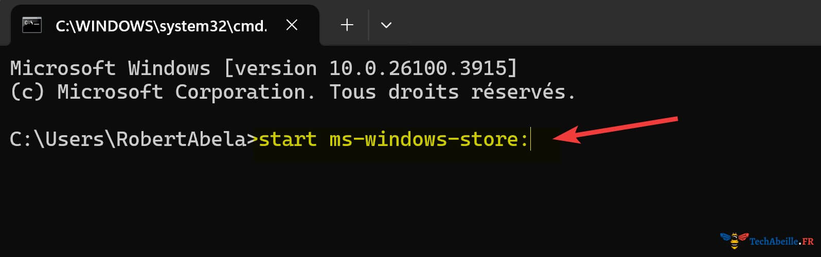 Commande pour ouvrir le Microsoft Store dans CMD