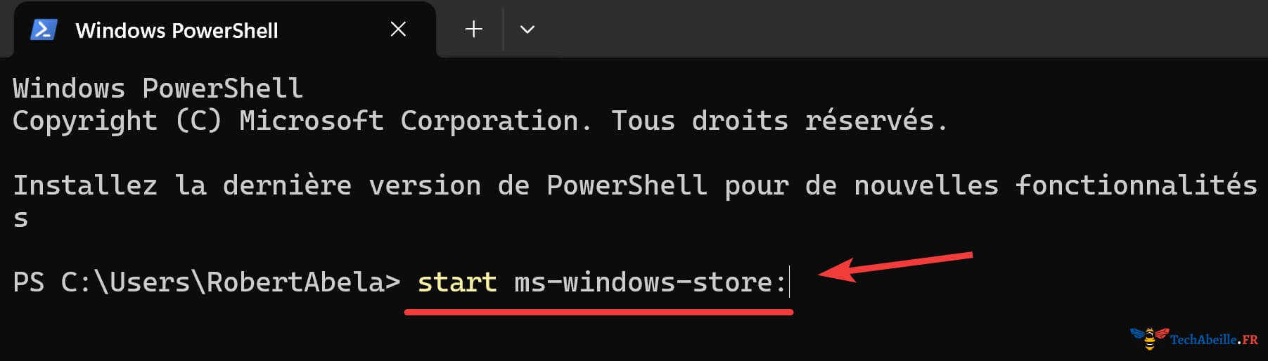 Commande pour ouvrir le Microsoft Store dans PowerShell