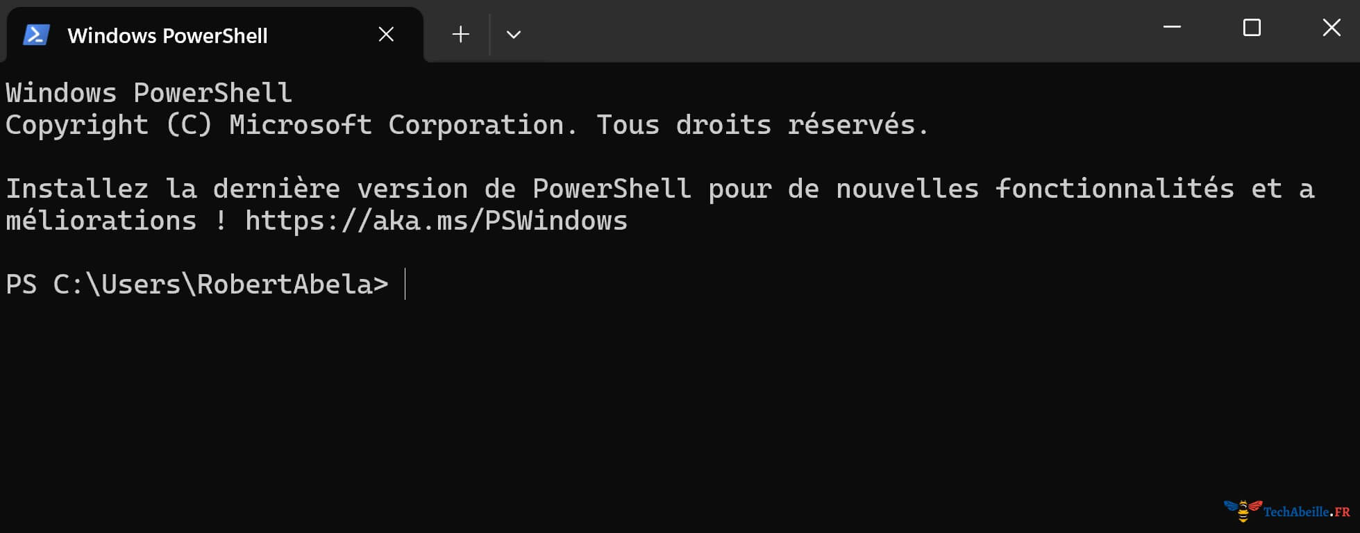 Page d'accueil de Windows PowerShell dans Windows11