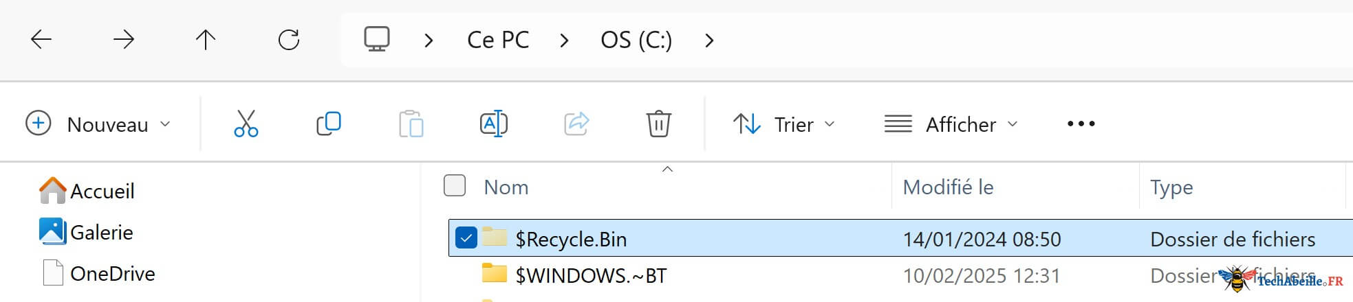 dossier-cache-RECYCLE-BIN