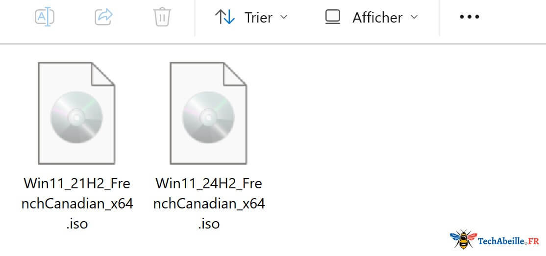 Fichiers ISO Windows - Images des packages d'installation Win11 21H2 et 24H2