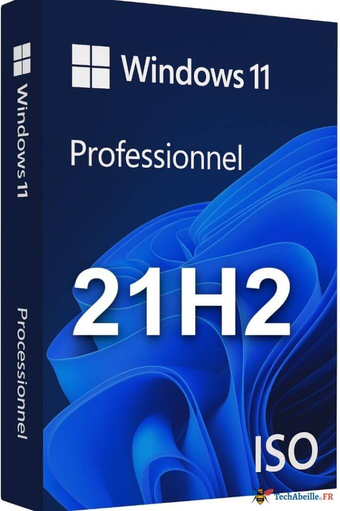 Windows 11 21H2 ISO