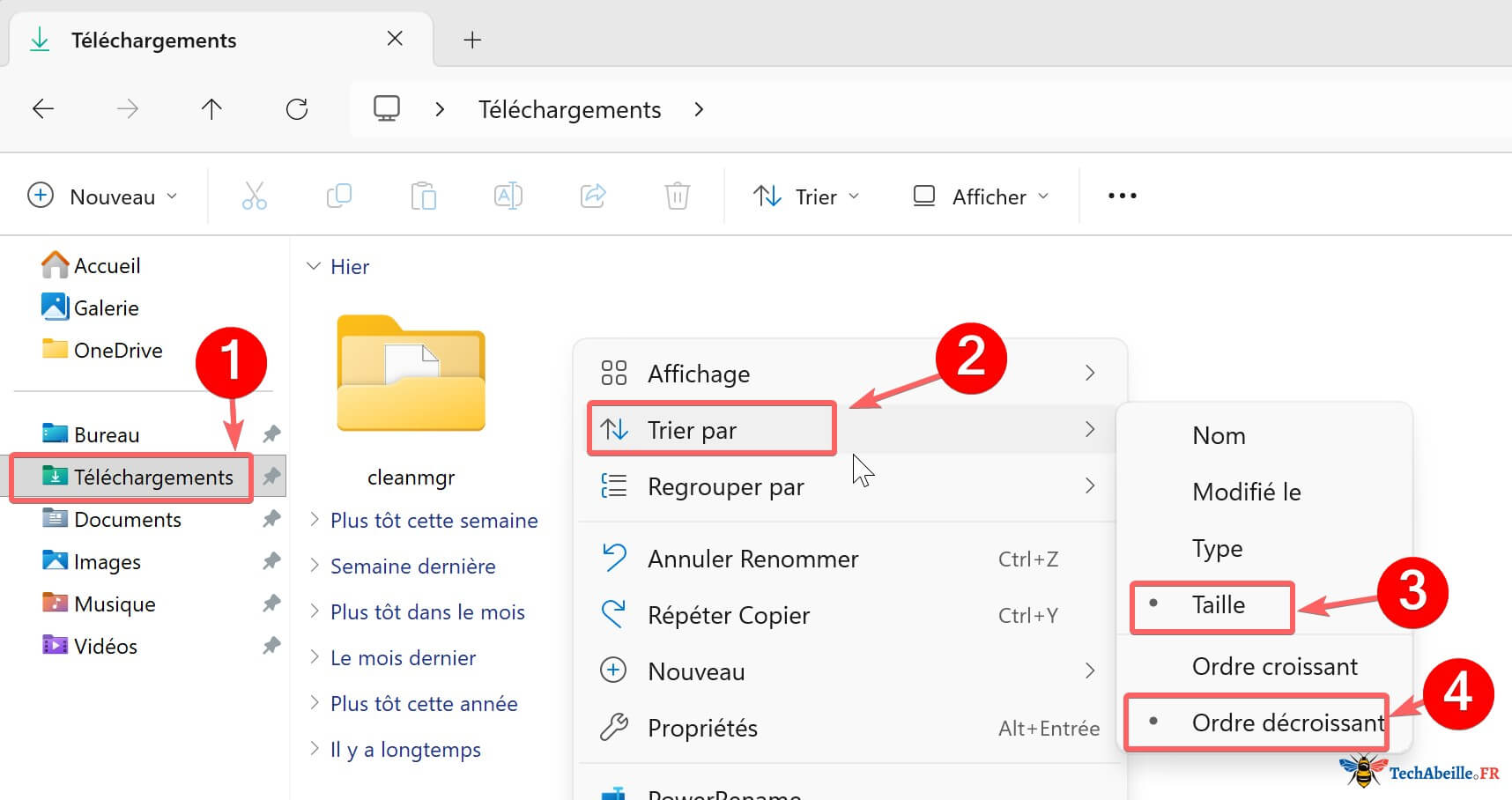 Dossier Téléchargements trié par taille