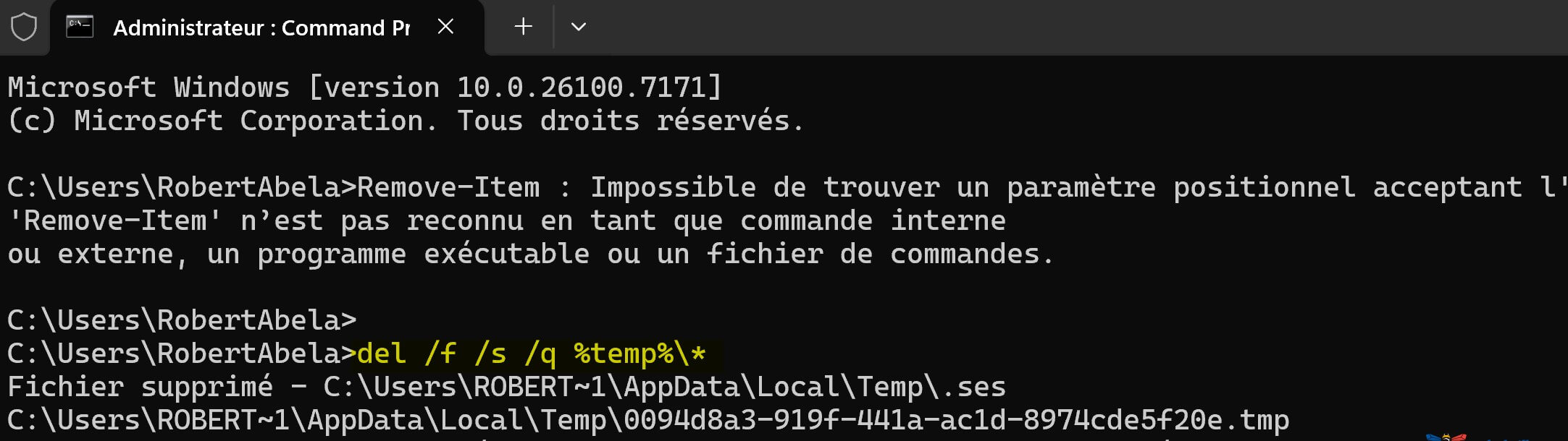 Nettoyer les fichiers de cache avec la commande del