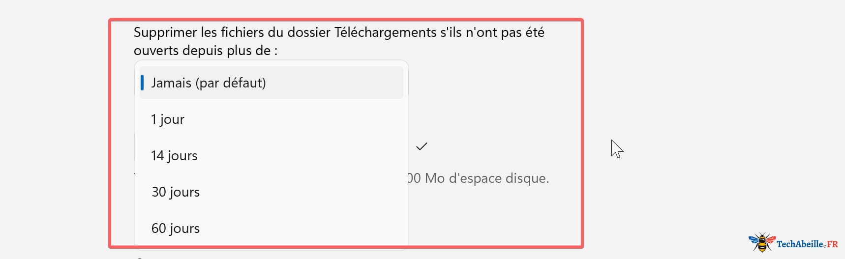 Option Assistant Stockage - Supprimer les fichiers du dossier Téléchargements