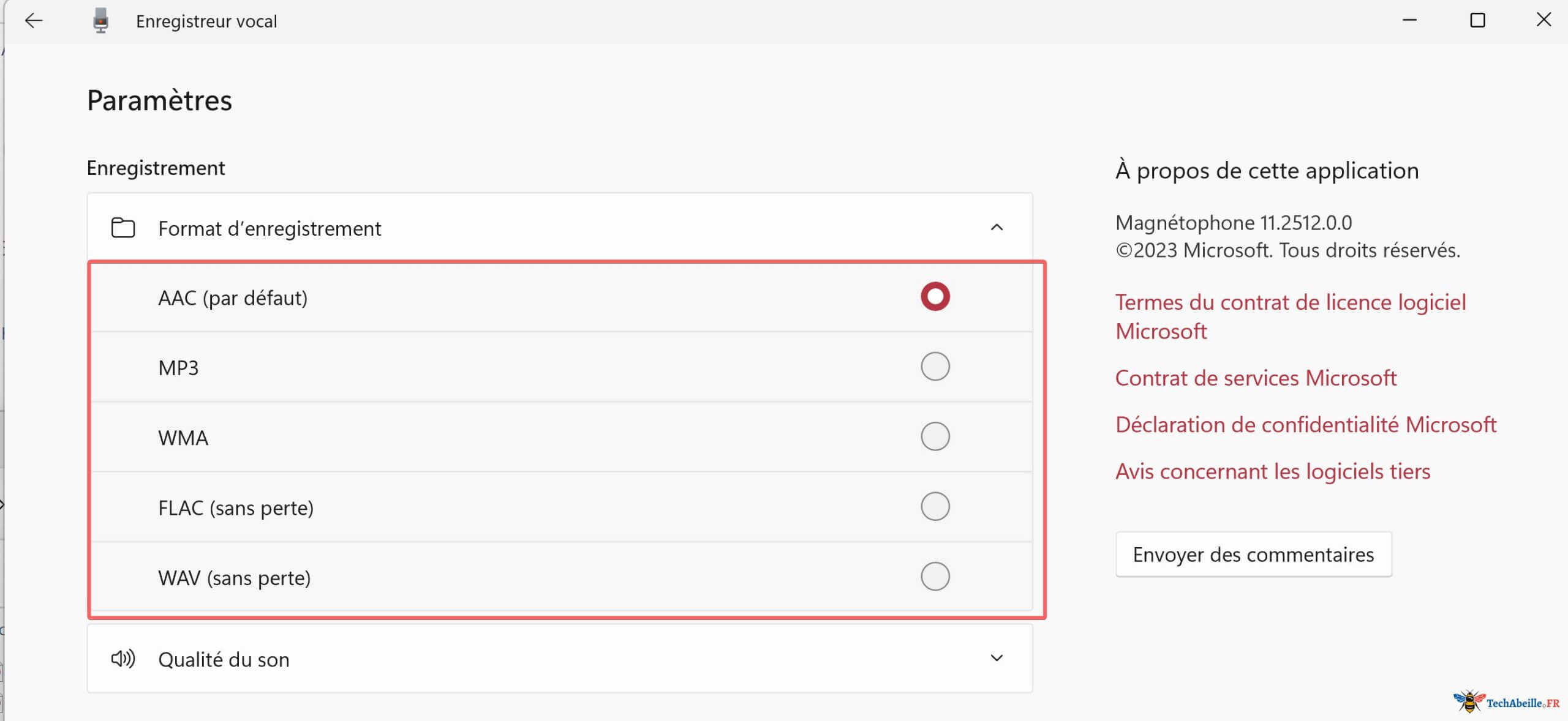 Modifier le format des fichiers audio dans les paramètres comme mp3 wav flac