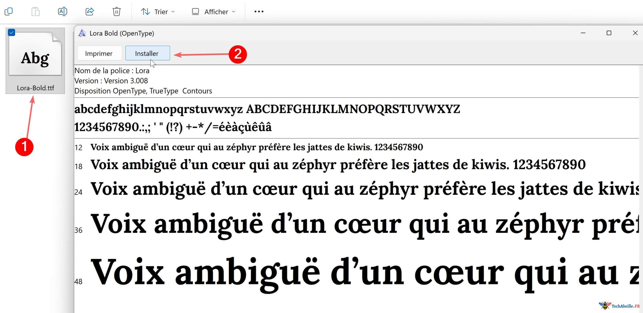 Double cliquer pour ouvrir la police puis cliquer sur le bouton Installer