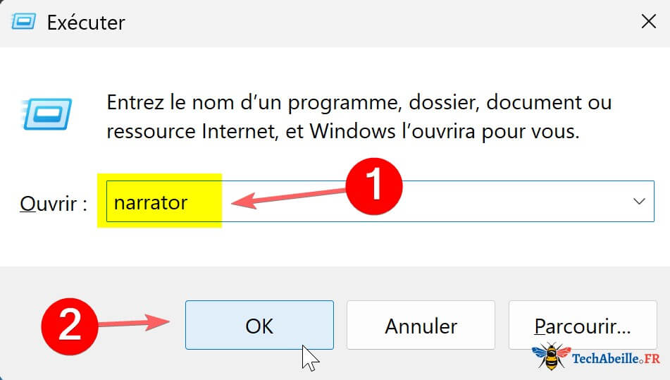 Saisie de narrator dans la fenetre Executer